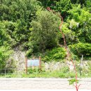 광덕1로5 이미지