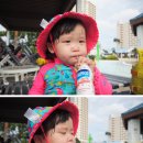 출출한강아지 이미지