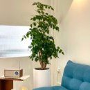 한누리LED 이미지