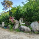 청화산하늘정원 이미지