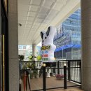 리츠펫(송도점) 이미지