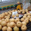 배들농장 이미지