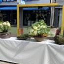 성서중심시장 이미지