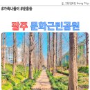 문화근린공원 | 광주 문흥동 문화근린공원 봄 나들이