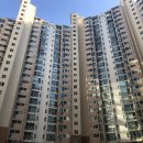 경희대 여명 태권도 교육관 이미지