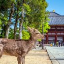 남다른 일본 여행을 위한 소도시 여행지 추천 BEST 이미지