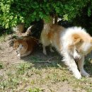 월악산 가족민박 이미지