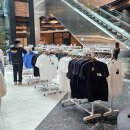 투이지플러스