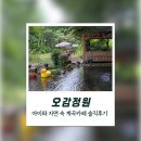 뒤뜰계곡예쁜집 | 오감정원 🌿아이와 자연 속 계곡카페 솔직후기