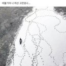 달맞이길62번길 13 이미지