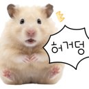 제천원조 빨간오뎅 보금자리 네이버블로그