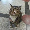 양3동주민센터 이미지