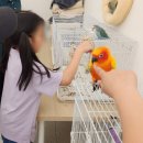 미어켓파크 이미지