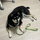 수원-0616 | 2025.06 일기📓