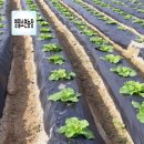 소연농장 이미지