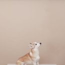 인천 부평 셀프 스튜디오 픽앤포토에서 가족사진