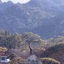 영암미소 | [전남-영암] 전남 영암글램핑 추천. 스테이펀 감성 글램핑 기념일 숙소 솔직후기