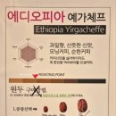 콩스킹 이미지