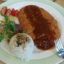 국수나무 이미지