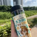 12살 노견도 잘 먹는 레디펫고 후코이단 먹은 황태, 기호성 좋은 강아지 건강 보양간식 후기