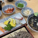 탄뽀뽀 | [강변/맛집] 테크노마트 맛집 일식당 탄뽀뽀 방문 후기