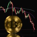 비트코인 이미지