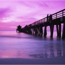 오늘은 네일 이미지