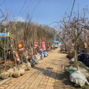 덕일농장 이미지