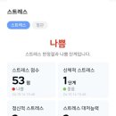 코탈리아 이미지