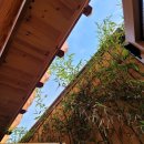 경주하늘 여니 이미지