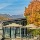 늘푸른나무어린이집 | 북한산 카페 산아래 | 서울 단풍 카페 우이동 계곡 가을 나들이