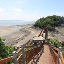 테마투어(해양생태 체험) 이미지