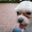 성원아파트 앞　 이미지