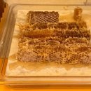 [24_8] 붓산밧캉스