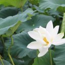 종연농장 이미지