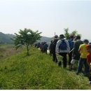 영산강뚝방길 이미지