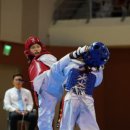 스페셜리 태권도 이미지