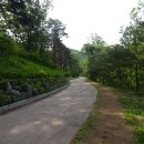 국립대관령치유의숲 이미지