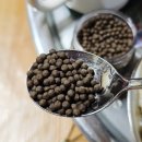 좋은마을 | 변비에 좋은 음식 백준호효소마을 청국장환 후기