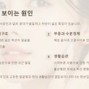 랑스 에스테틱