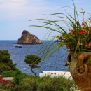 조은동물병원 이미지