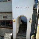 메리트리(meritree) 이미지