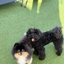 브루하하유치원 이미지