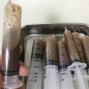 하인츠동물병원 이미지