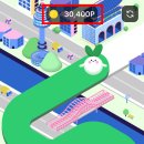 닥터포인트