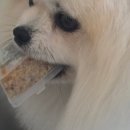 모쿠, 또모쿠 네이버블로그
