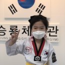 승룡태권도장 이미지