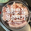 청춘PC | 포항 애견 동반 고기 맛집 추천 송도해수욕장 청춘연가 내돈내산 솔직후기