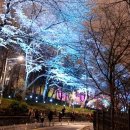 맥아더통상 이미지