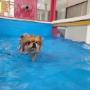 하오하개 이미지